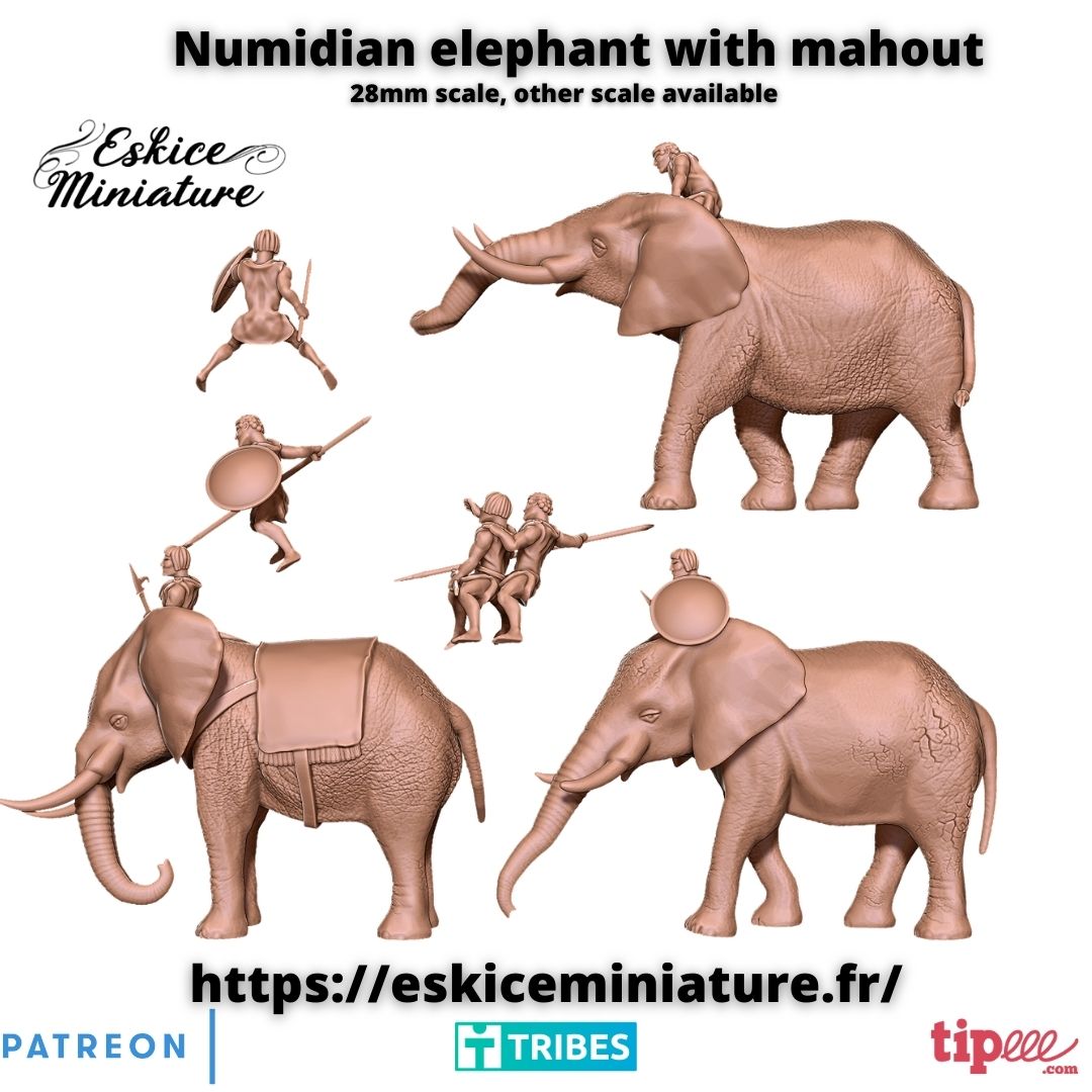 Numidian elephant with mahout - 28mm